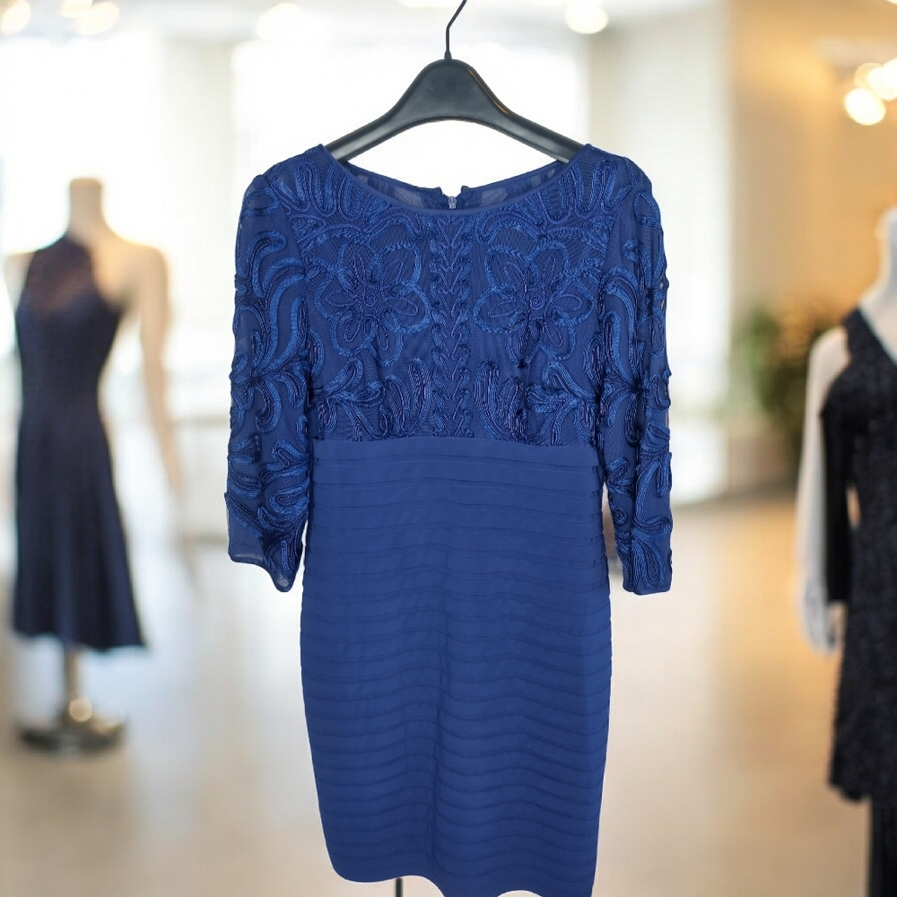 Adrianna Papell Embroiderd Elegant Blue Lace Dress Size 8